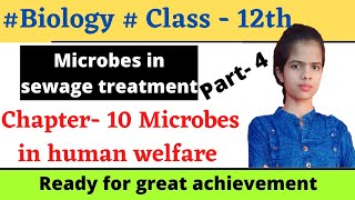 Microbe in Sewage Treatment  Microbes in Human Welfare  Class 12  Biology  NEET  Board Term2 [upl. by Inod592]