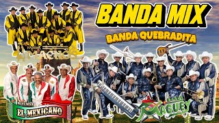 Mix de Quebradita Éxitos de Banda Machos Maguey y El Mexicano [upl. by Andri835]