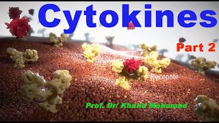 Cytokines Part 2 [upl. by Benioff]