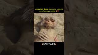 A Mysterious Creature From the Soil🙀⁉️VoiceOver Of Hari shorts tamilvoiceover [upl. by Dolorita]