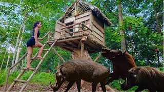 The girls miraculous survival in the forest building a wooden house trapping wild pigs [upl. by Ahsillek706]