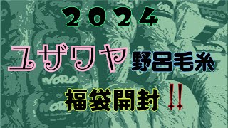 2024 ユザワヤ福袋購入品✨野呂毛糸 [upl. by Naesar]