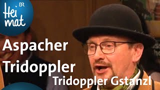 Aspacher Tridoppler Tridoppler Gstanzl  Wirtshausmusikanten  BR Heimat  die beste Volksmusik [upl. by Mosira]