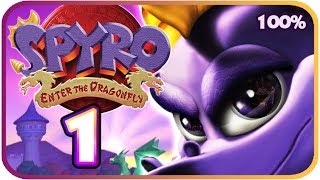 Spyro Enter the Dragonfly Demo [upl. by Akemeuwkuhc]