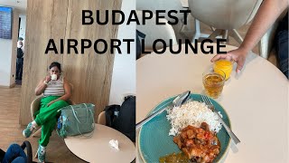 Budapest Plaza Premium Lounge Budapest Airport Lounge airporttour airport budapestairport [upl. by Dumanian38]