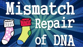 Mismatch Repair of DNA II DNA repair Mechanisms [upl. by Doehne]