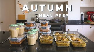 Autumn meal prep for the month 18 freezer meals [upl. by Ahsetel]