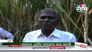 Madhukar Pisals zero budget sugarcane farming success story [upl. by Aehsal]