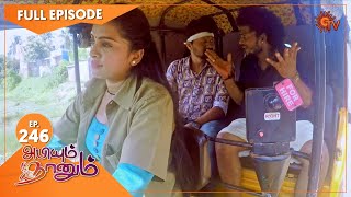 Abiyum Naanum  Ep 246  16 Aug 2021  Sun TV Serial  Tamil Serial [upl. by Tadeas]