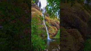 Nature video Horsetail Falls Oregon Subscribe for more [upl. by Nahgeem]