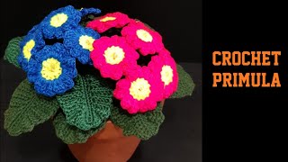 How to Crochet Primula flower [upl. by Kolosick714]