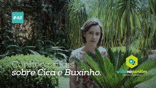 Conheça mais sobre Cica e Buxinho 42 [upl. by Imotih]