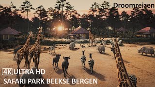 Safari Park Beekse Bergen 2023  4K Ultra HD [upl. by Schlosser]