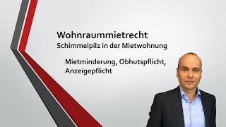 Schimmelpilz in der Mietwohnung  Vortrag für Anwälte 311  Mietminderung Obhuts amp Anzeigepflicht [upl. by Nevs]