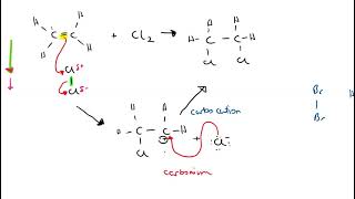 Organic chemistry mechanism  electrophilic addition of halogen to ethene [upl. by Otreblanauj347]