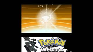 Litwick Evolves into Lampent Pokémon Black pokemonblack [upl. by Ailisec]