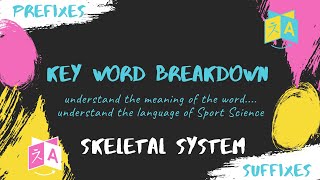 Physical Educ8or Academic PE Skeletal System Key Word Breakdown [upl. by Adnirual]