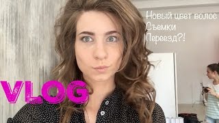 VLOG  Новый цвет волос Мы ПЕРЕЕХАЛИ  SprintFit [upl. by Persian342]