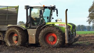 Mais Silage In The Mud  Claas Xerion  New Holland T7070  Modderen  M Verhoef [upl. by Nottus]