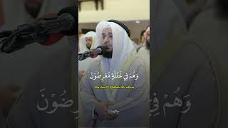 Beautiful Quran Recitation [upl. by Corley48]