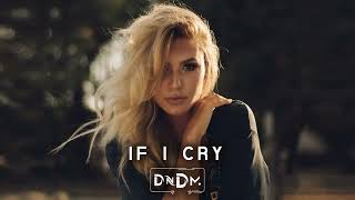 DNDM  If i cry Original Mix [upl. by Soluk]