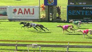 Capalaba29092024Race7 [upl. by Froemming]