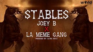 JOEY B FT LA MÊME GANG  STABLES OFFICIAL LYRICS VIDEO [upl. by Esiouqrut]