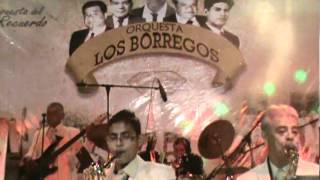 Orquesta Hnos Pérez quotLos Borregosquot 610 [upl. by Hatty]