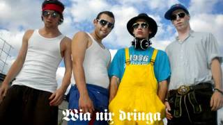 Los Brudalos  Wia nix dringa [upl. by Shushan48]