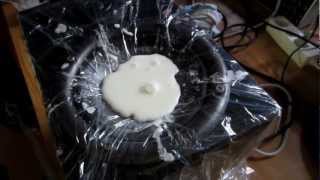 NonNewtonian Fluid  Experiment One [upl. by Itaws899]