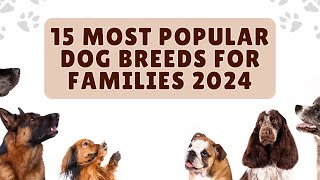 Top 15 Most Popular Dog Breeds for Families in 2024 [upl. by Robaina358]