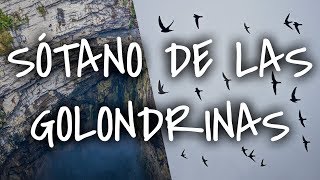 Sótano de las Golondrinas 📛 HUASTECA POTOSINA ► Qué GRAN ESPECTÁCULO AÉREO⁉️  SIN POSTAL VLOG [upl. by Arney]