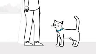 Understanding Cat Body Language  The Battersea way [upl. by Nnaassilem]