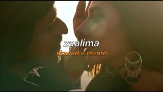 Zaalima Lyrics  Raees  Shahrukh Khan Mahira Khan Arijit Singh Harshdeep Kaur [upl. by Airretnahs]