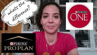 Dog food review Purina One vs Purina Pro Plan What is the difference between the brands [upl. by Bettye]