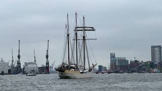 Segelschiff MARE FRISIUM Landungsbrücken Hamburg Hafengeburtstag 2023 [upl. by Ayanet]