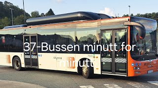 37Bussen minutt for minutt 🇧🇻 [upl. by Rem]