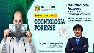 Métodos de Identificación en Odontología Forense Identificación Humana y Registros Dentales [upl. by Kial]