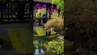 Lan Su Chinese Garden in Portland Oregon July 22 2024 LanSueChineseGarden portland travel [upl. by Niltak960]