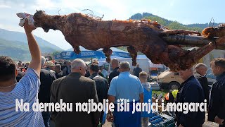 Na Derneku najbolje išli janjci i magarci [upl. by Nilpik]