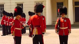 1st Battalion Coldstream Guards [upl. by Hugibert]