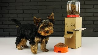 DIY Puppy Dog Food Dispenser from Cardboard at Home [upl. by Carena859]