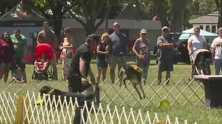 Mothers Day celebrations at the Dixon May Fair [upl. by Poyssick100]