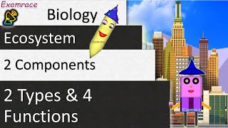 Life in a Ecosystem  2 Components 2 Types and 4 Functions [upl. by Lewanna]