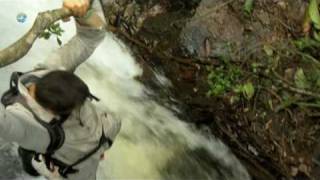 Man vs Wild  Vietnam  Fine Vine [upl. by Ellennej783]