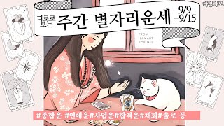 타로종합운타로로 보는 주간 별자리 운세 전체운 연애운금전운 재회운 등99915 [upl. by Nonez]