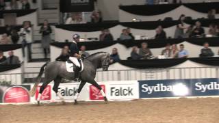 Danish Warmblood Young Horse Championship 2014  Carl Hester testing Habanero [upl. by Giavani]