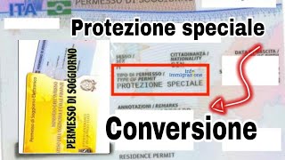 Protezione speciale si può convertire in lavoro [upl. by Chor]