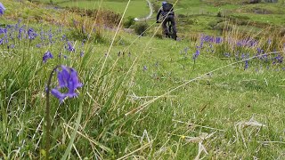 Cwm Pennant mtb ride from Beddgelert Forest [upl. by Asiak]