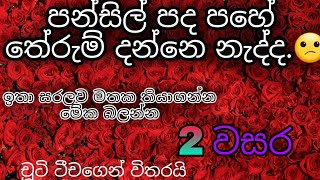 2 වසර බුද්ධාගම පොතේ තියෙන පන්සිල් පද පහේ තේරුම් සරලව 2වසර පන්සිල්පද [upl. by Quintana]